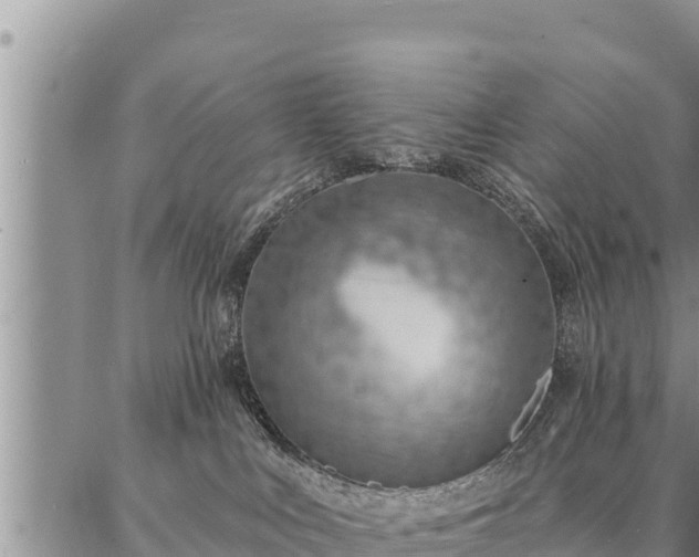 X0000086930043200704231341