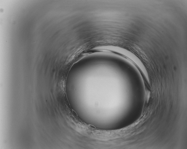 X0000086930045200704231341