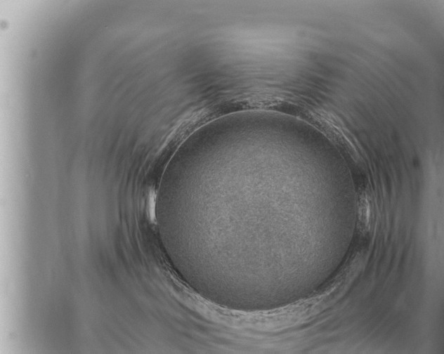 X0000086930046200704231341