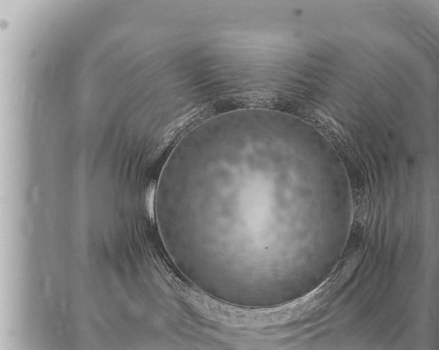 X0000086930047200704231341