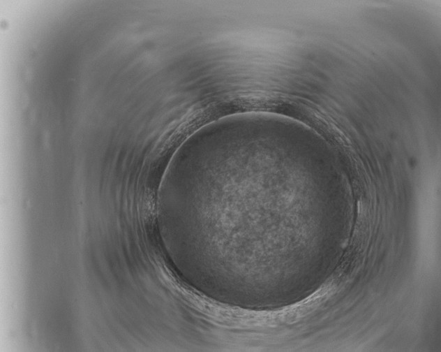 X0000086930048200704231341