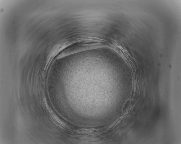 X0000086930049200704231340