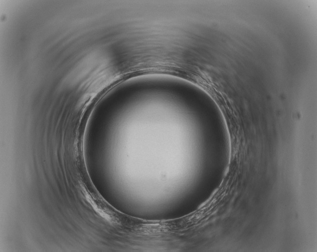 X0000086930050200704231340