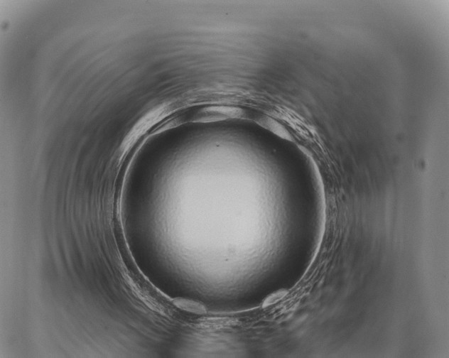 X0000086930051200704231340