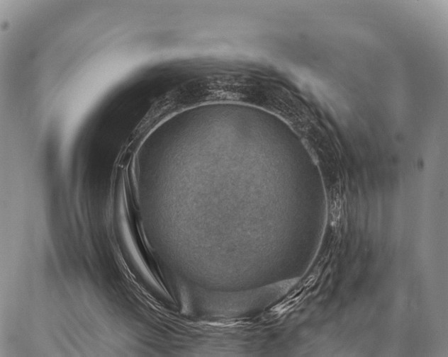 X0000086930052200704231340