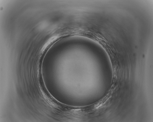 X0000086930054200704231340