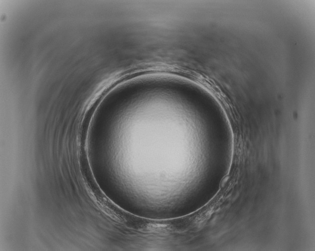 X0000086930055200704231340