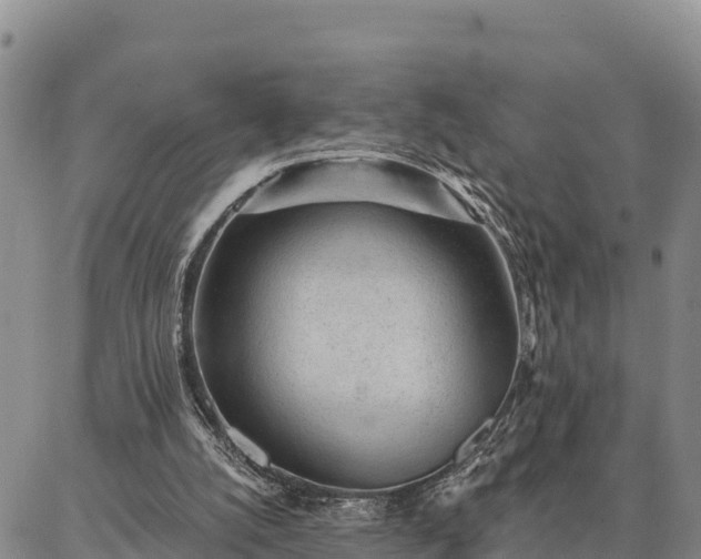 X0000086930056200704231340