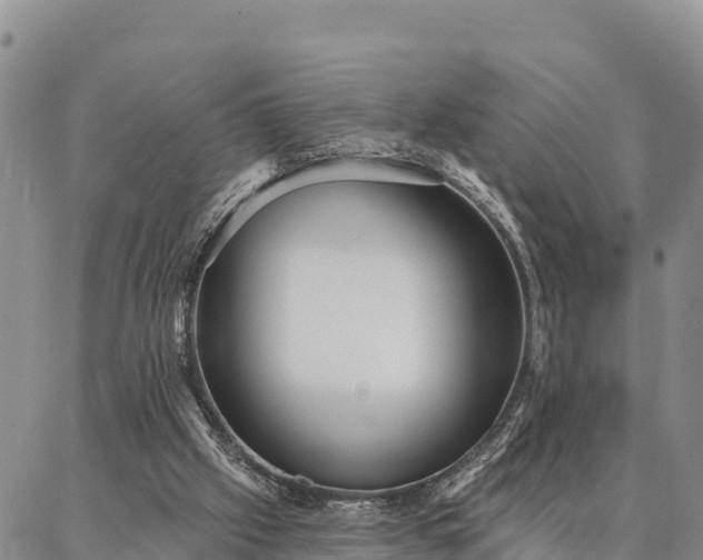 X0000086930057200704231341