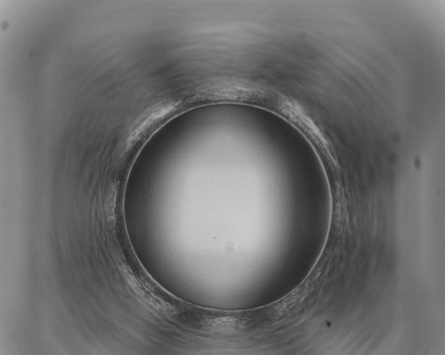 X0000086930058200704231341