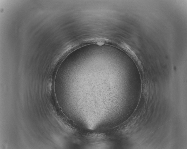 X0000086930063200704231341