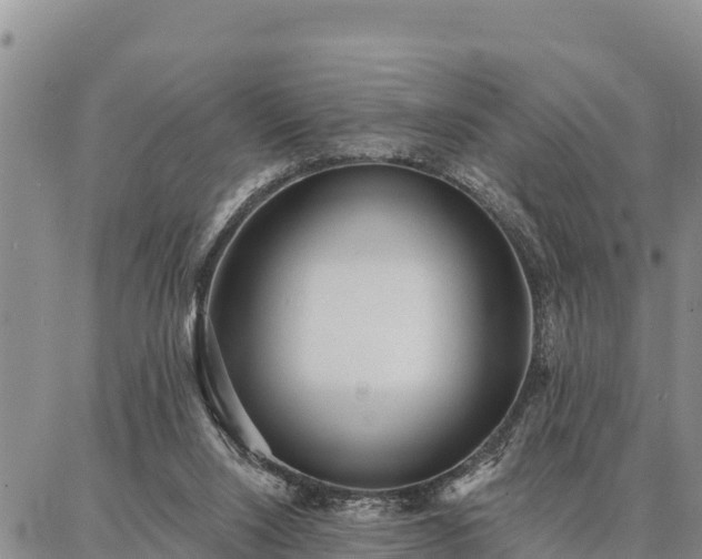 X0000086930064200704231341