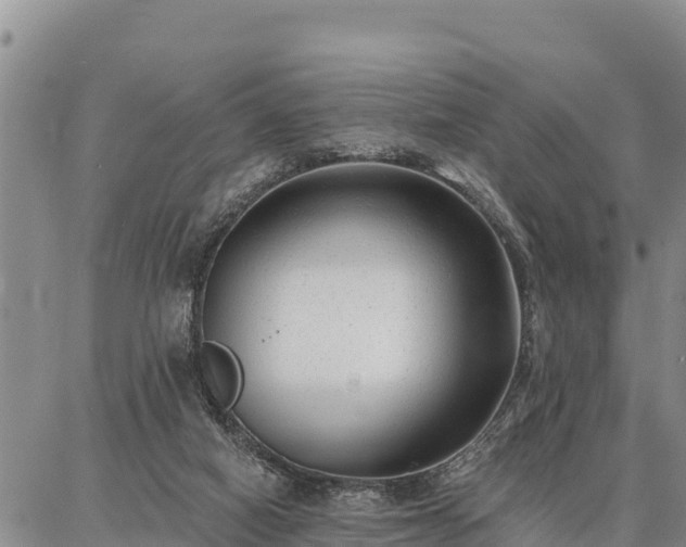 X0000086930066200704231341