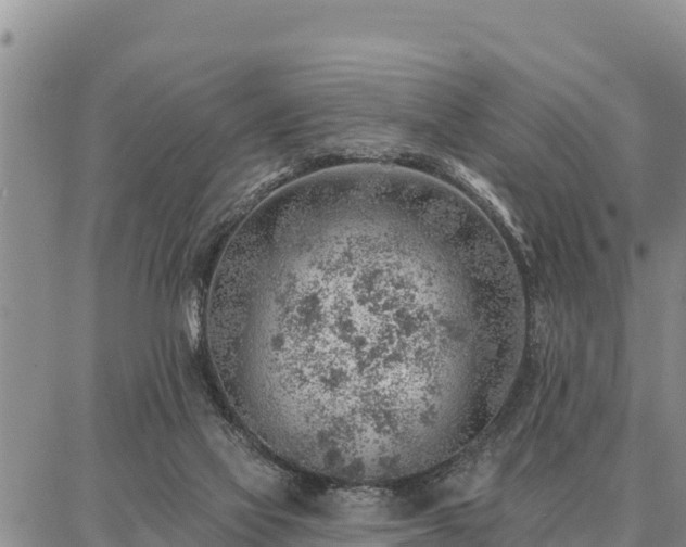 X0000086930069200704231341