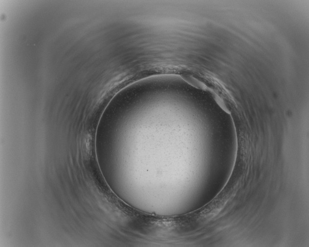 X0000086930071200704231341