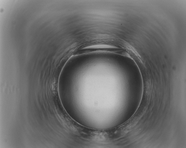 X0000086930073200704231341