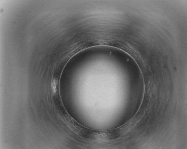 X0000086930075200704231341