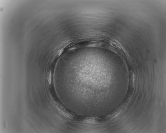 X0000086930076200704231341