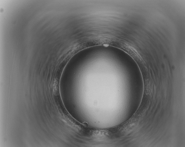 X0000086930077200704231341