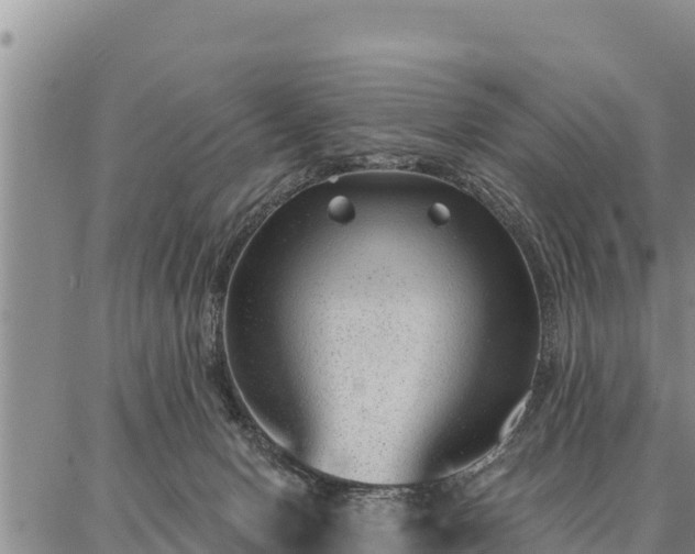 X0000086930078200704231341