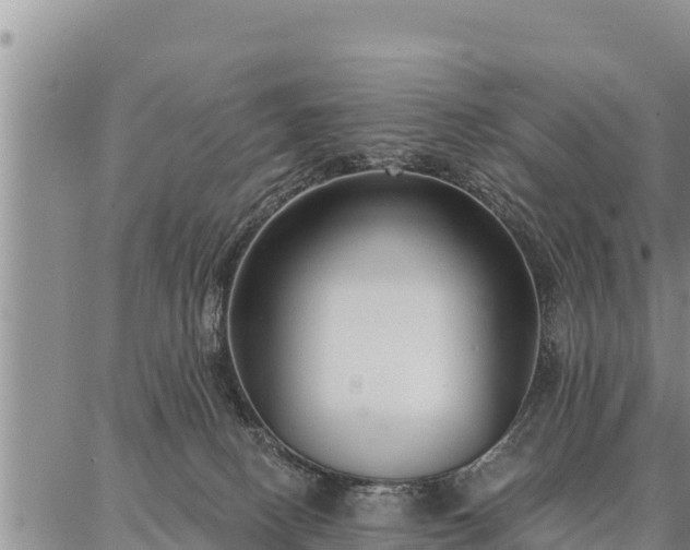 X0000086930082200704231341