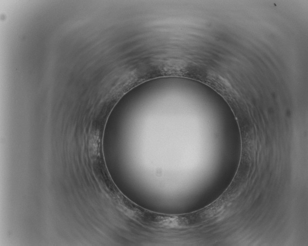 X0000086930083200704231341