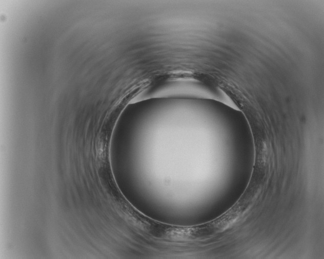 X0000086930084200704231341