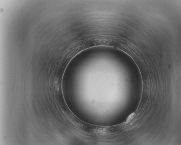 X0000086930086200704231341