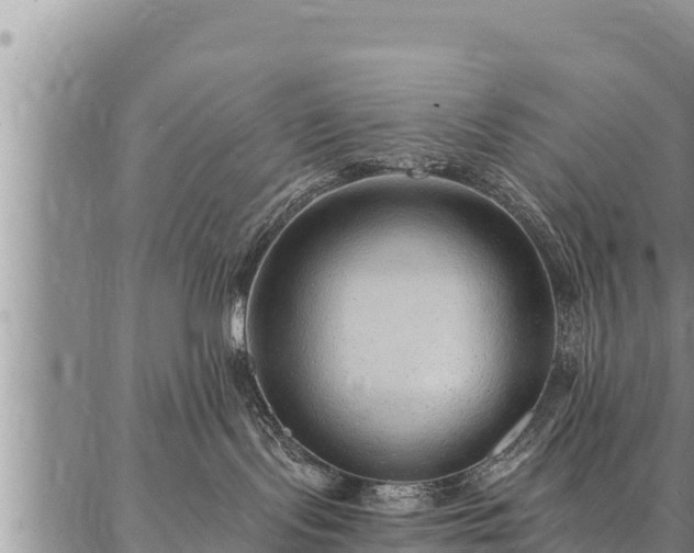 X0000086930095200704231341