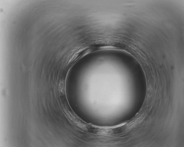 X0000086930096200704231341