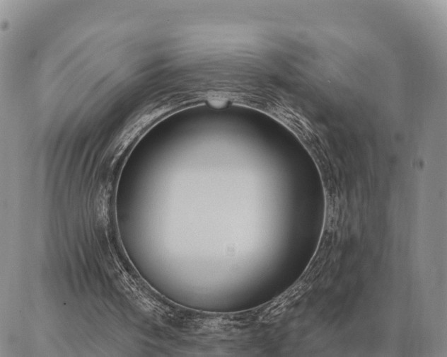 X0000086930098200704231340