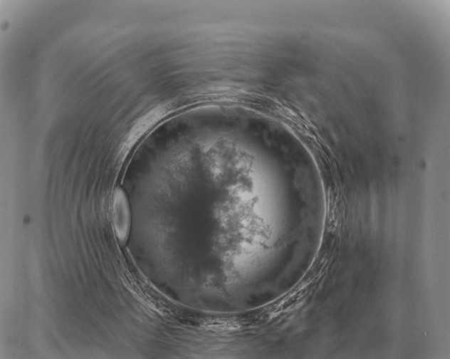 X0000086930099200704231340