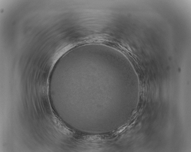 X0000086930100200704231340