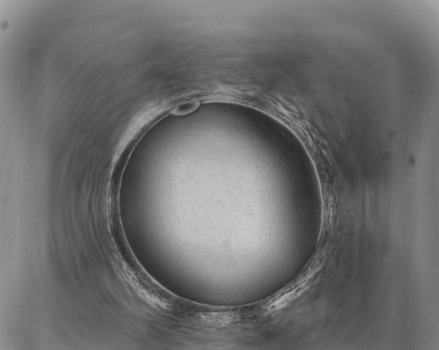 X0000086930102200704231340