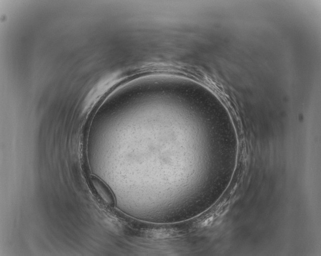 X0000086930103200704231340