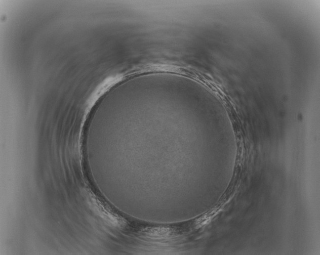 X0000086930104200704231340