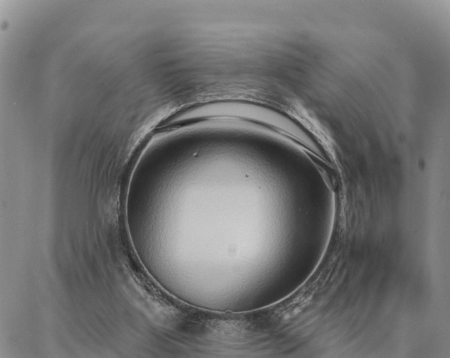 X0000086930107200704231340