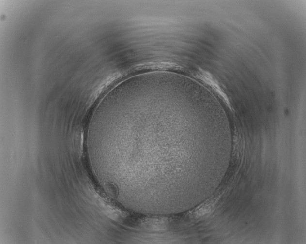 X0000086930110200704231340