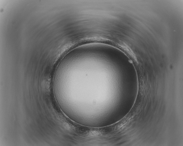 X0000086930111200704231340