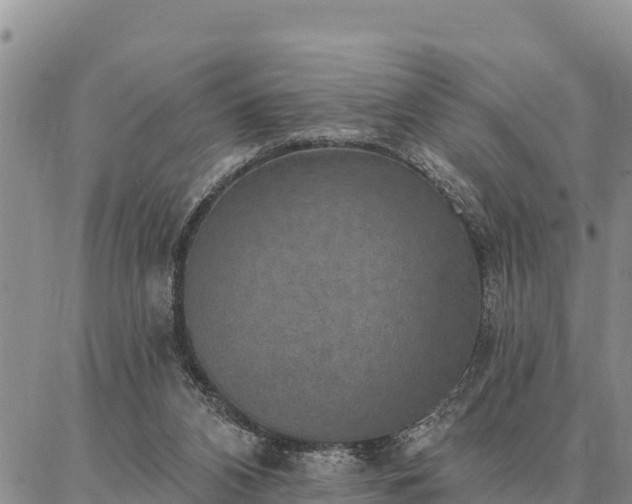 X0000086930112200704231340