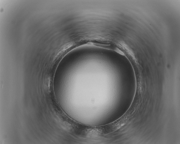 X0000086930115200704231340