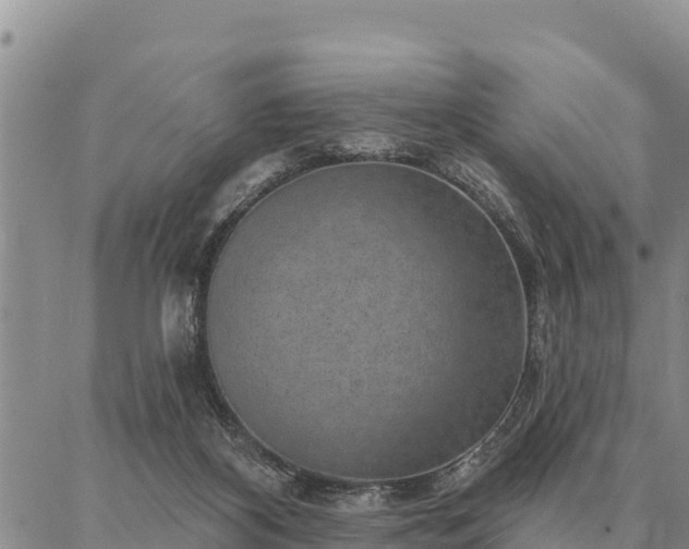 X0000086930116200704231340