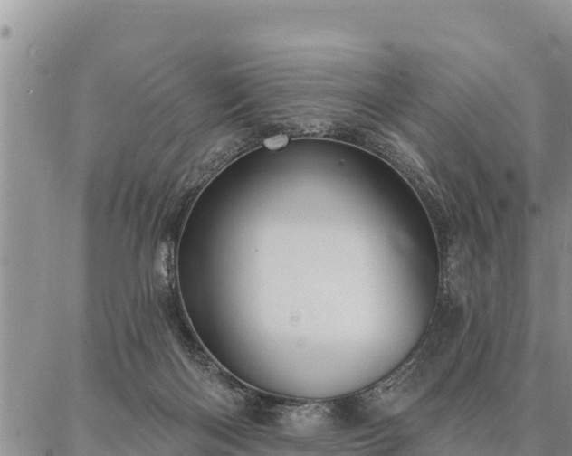 X0000086930122200704231340