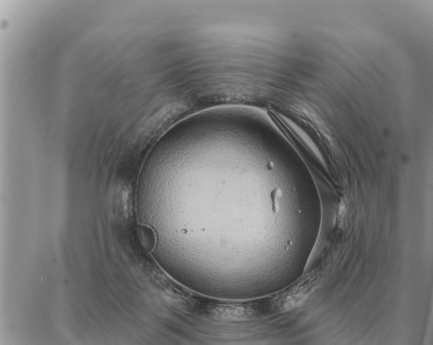 X0000086930123200704231340