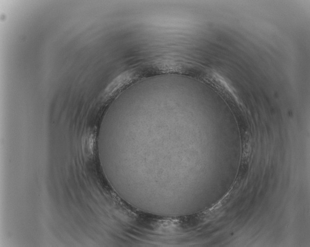 X0000086930124200704231340