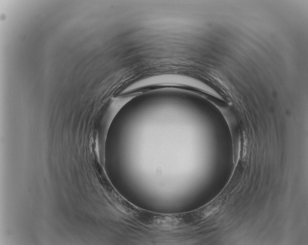 X0000086930125200704231340