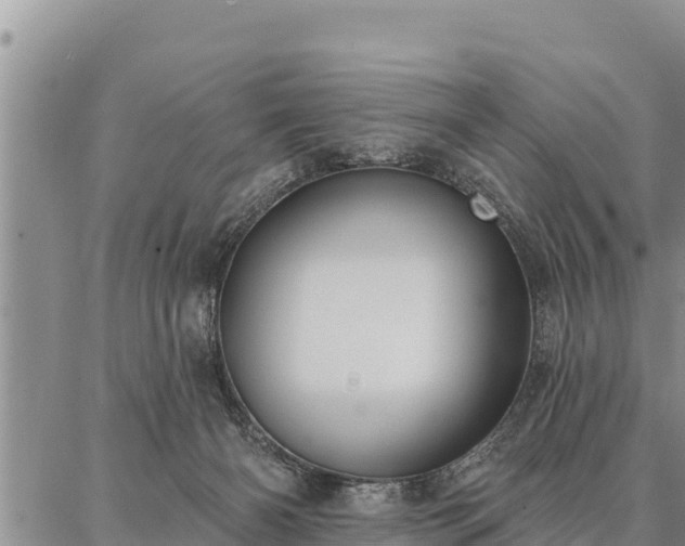 X0000086930126200704231340