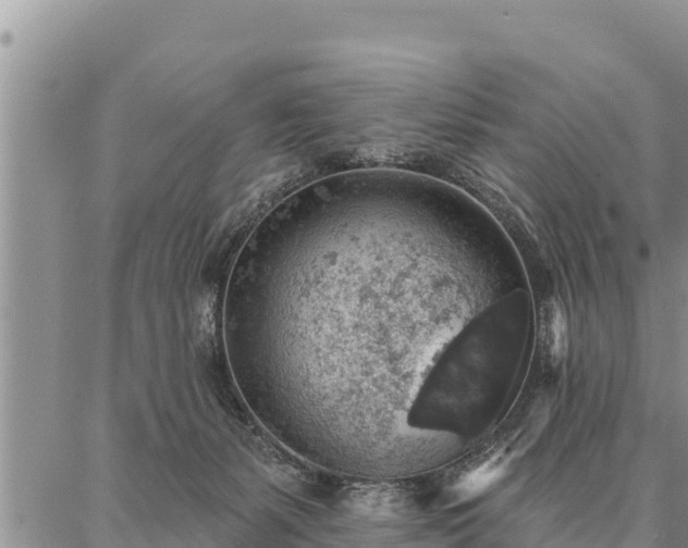 X0000086930127200704231340