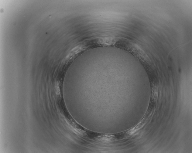 X0000086930128200704231340