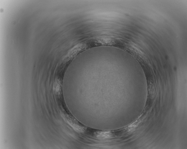 X0000086930132200704231340